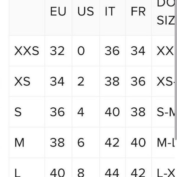 NWT IRO skirt - Picture 4 of 4